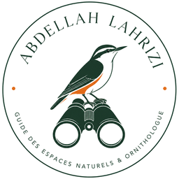 Logo Abdellah Lahrizi, guide des espaces naturels et ornithologue